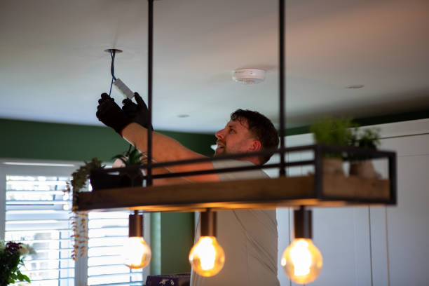 Best Local Electrician Companies  in Vernon, AL