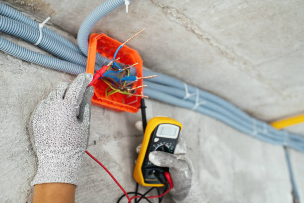 Best Ceiling Fan Installation Electrician  in Vernon, AL